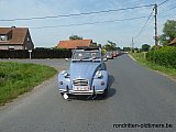 Zandlemig Vlaanderen